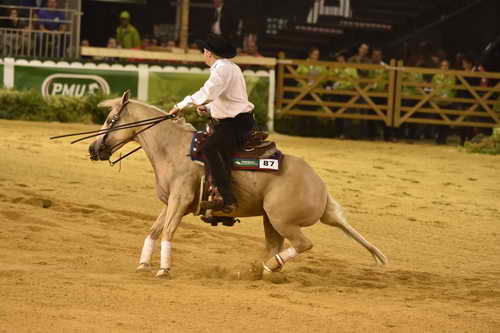 WEG-Reining-8-30-14-0000450-TomMcCutcheon-DunGetANicadual-USA-DDeRosaPhoto