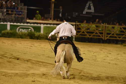 WEG-Reining-8-30-14-0000451-TomMcCutcheon-DunGetANicadual-USA-DDeRosaPhoto