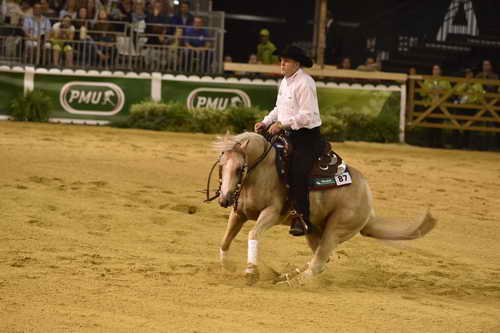 WEG-Reining-8-30-14-0000457-TomMcCutcheon-DunGetANicadual-USA-DDeRosaPhoto