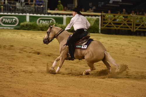 WEG-Reining-8-30-14-0000461-TomMcCutcheon-DunGetANicadual-USA-DDeRosaPhoto