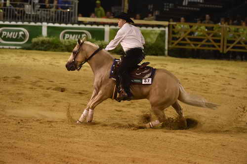 WEG-Reining-8-30-14-0000462-TomMcCutcheon-DunGetANicadual-USA-DDeRosaPhoto