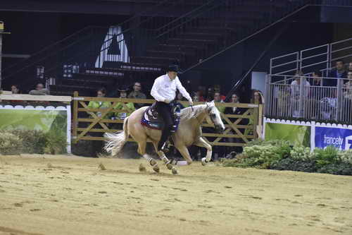 WEG-Reining-8-30-14-0000469-TomMcCutcheon-DunGetANicadual-USA-DDeRosaPhoto