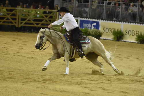 WEG-Reining-8-30-14-0000471-TomMcCutcheon-DunGetANicadual-USA-DDeRosaPhoto