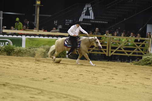 WEG-Reining-8-30-14-0000474-TomMcCutcheon-DunGetANicadual-USA-DDeRosaPhoto