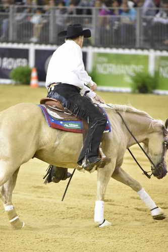 WEG-Reining-8-30-14-0000477-TomMcCutcheon-DunGetANicadual-USA-DDeRosaPhoto