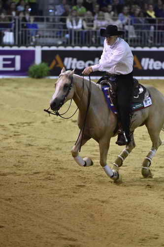 WEG-Reining-8-30-14-0000480-TomMcCutcheon-DunGetANicadual-USA-DDeRosaPhoto