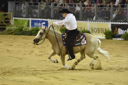 WEG-Reining-8-30-14-0000483-TomMcCutcheon-DunGetANicadual-USA-DDeRosaPhoto