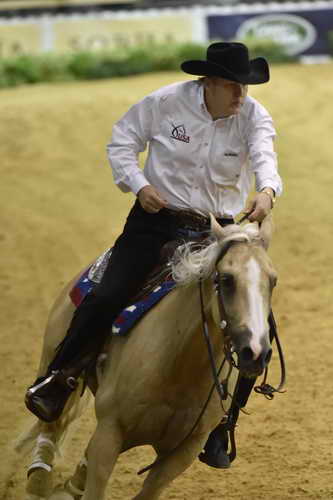 WEG-Reining-8-30-14-0000486-TomMcCutcheon-DunGetANicadual-USA-DDeRosaPhoto