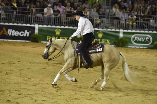 WEG-Reining-8-30-14-0000488-TomMcCutcheon-DunGetANicadual-USA-DDeRosaPhoto