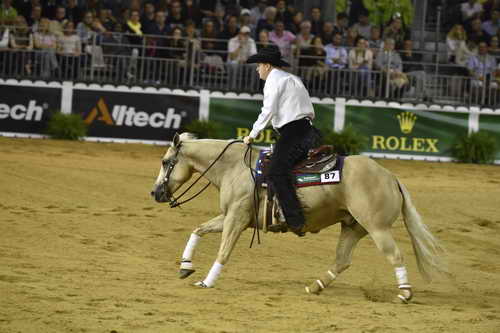 WEG-Reining-8-30-14-0000489-TomMcCutcheon-DunGetANicadual-USA-DDeRosaPhoto