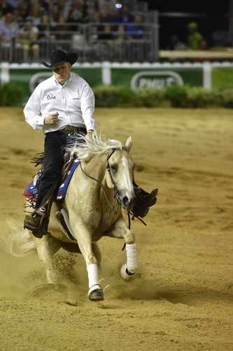 WEG-Reining-8-30-14-0000496-TomMcCutcheon-DunGetANicadual-USA-DDeRosaPhoto