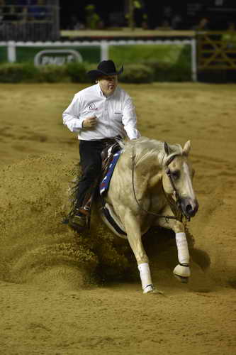 WEG-Reining-8-30-14-0000500-TomMcCutcheon-DunGetANicadual-USA-DDeRosaPhoto