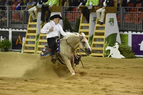 WEG-Reining-8-30-14-0000503-TomMcCutcheon-DunGetANicadual-USA-DDeRosaPhoto