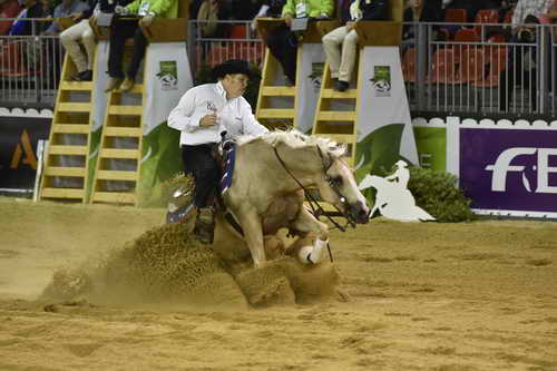 WEG-Reining-8-30-14-0000504-TomMcCutcheon-DunGetANicadual-USA-DDeRosaPhoto