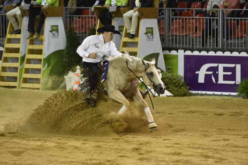 WEG-Reining-8-30-14-0000505-TomMcCutcheon-DunGetANicadual-USA-DDeRosaPhoto