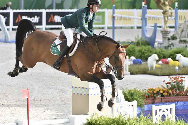 WEG-SJ-1st-9-2-14-0003184-DarraghKenny-Imothep-IRL-DDeRosaPhoto