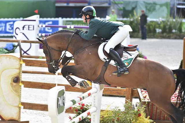 WEG-SJ-1st-9-2-14-0003185-DarraghKenny-Imothep-IRL-DDeRosaPhoto