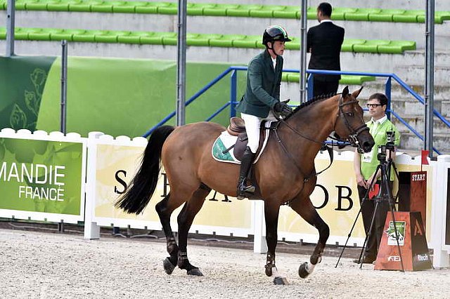 WEG-SJ-1st-9-2-14-0003196-DarraghKenny-Imothep-IRL-DDeRosaPhoto