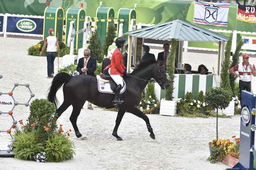 WEG1-SJ-Team2-9-4-14-0003063-BeezieMadden-CortesC-USA-DDeRosaPhoto