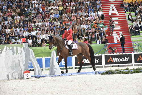 WEG-SJ-1st-9-2-14-0005255-KentFarrington-Voyeur-USA-DDeRosaPhoto