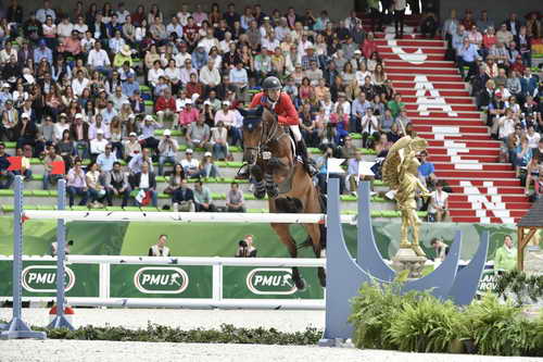 WEG-SJ-1st-9-2-14-0005281-KentFarrington-Voyeur-USA-DDeRosaPhoto