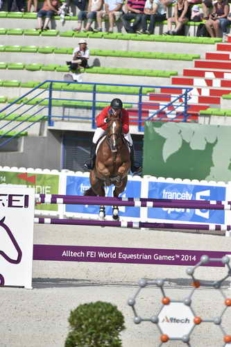 WEG1-SJ-Team2-9-4-14-0002009-McLainWard-Rothchild-USA-DDeRosaPhoto