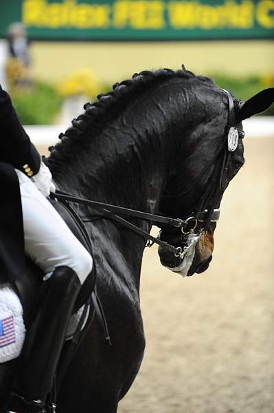 WorldCup-4-16-09-Dressage-741-SteffenPeters-Ravel-DDeRosaPhoto