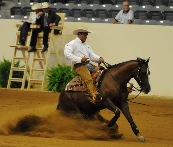 WEG-7-21-09-0406-ReiningTest-RubenPacheco-FootworksSpecial-MEX-DDeRosaPhoto.jpg