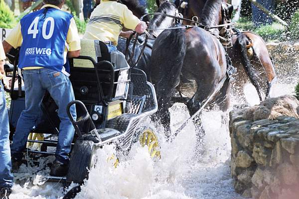 Driving40.jpg-DeRosaPhoto