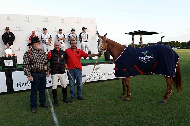 IPC-Polo-1-1-17-6086-DDeRosaPhoto