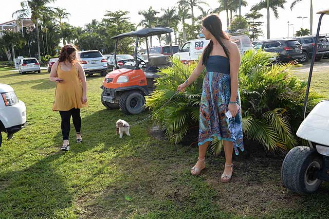 IPC-Polo-1-1-17-6011-DDeRosaPhoto