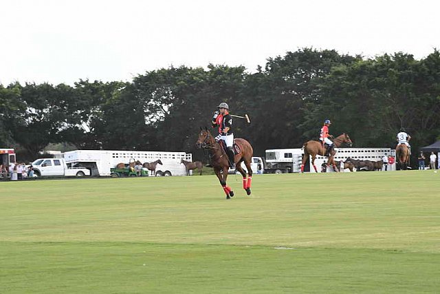 IPC-Polo-1-1-17-1071-DDeRosaPhoto