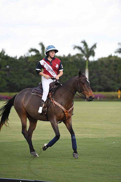 IPC-Polo-1-1-17-1086-DDeRosaPhoto