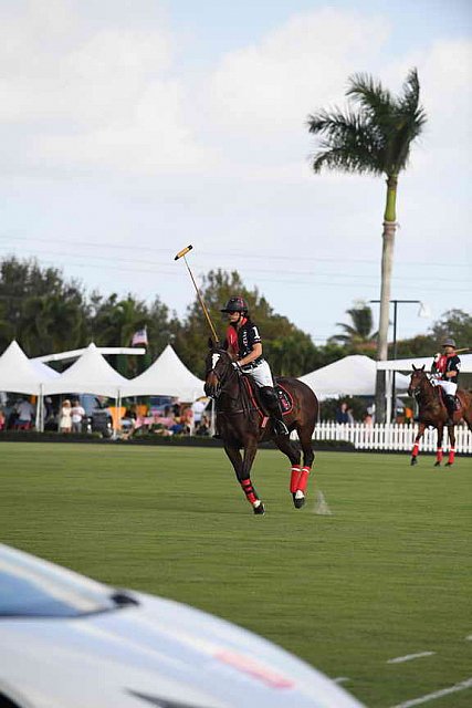 IPC-Polo-1-1-17-1186-DDeRosaPhoto