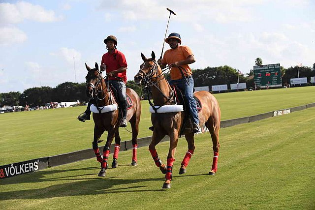 IPC-Polo-1-1-17-1228-DDeRosaPhoto