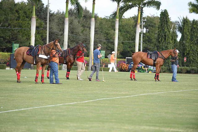 IPC-Polo-1-1-17-1230-DDeRosaPhoto