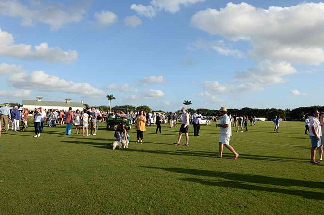 IPC-Polo-1-1-17-6046-DDeRosaPhoto