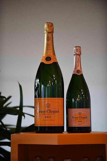 IPC-Polo-1-1-17-1056-DDeRosaPhoto