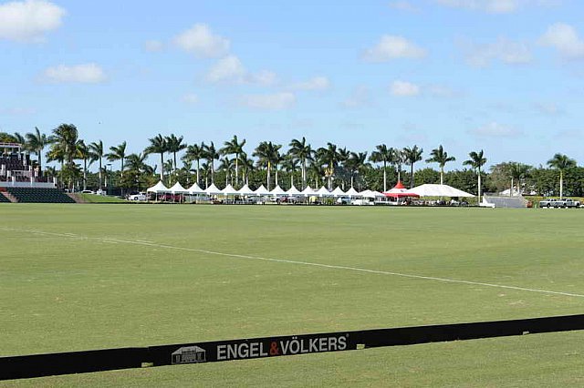 IPC-Polo-1-8-17-6296-DDeRosaPhoto