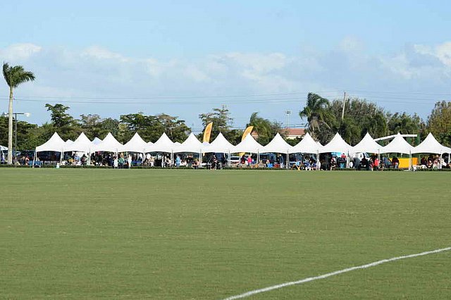 IPC-Polo-1-8-17-6466-DDeRosaPhoto