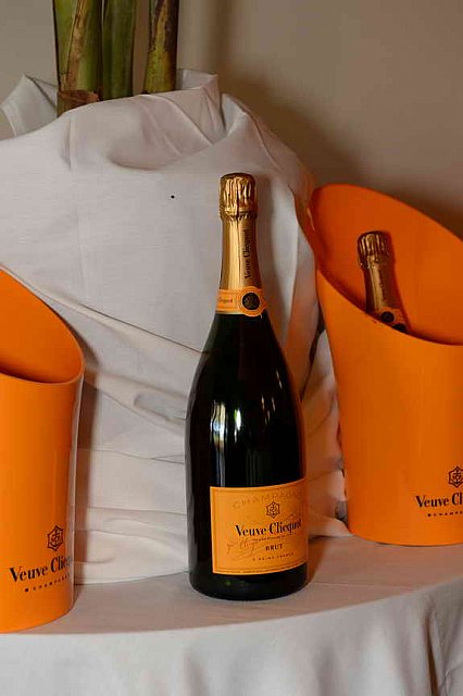 IPC-Polo-1-8-17-6237-DDeRosaPhoto