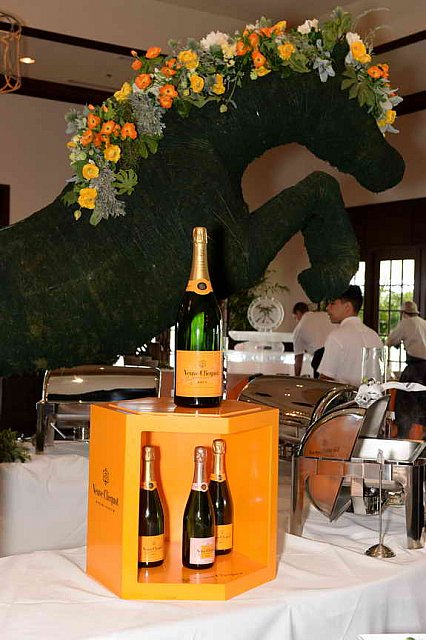 IPC-Polo-1-8-17-6253-DDeRosaPhoto