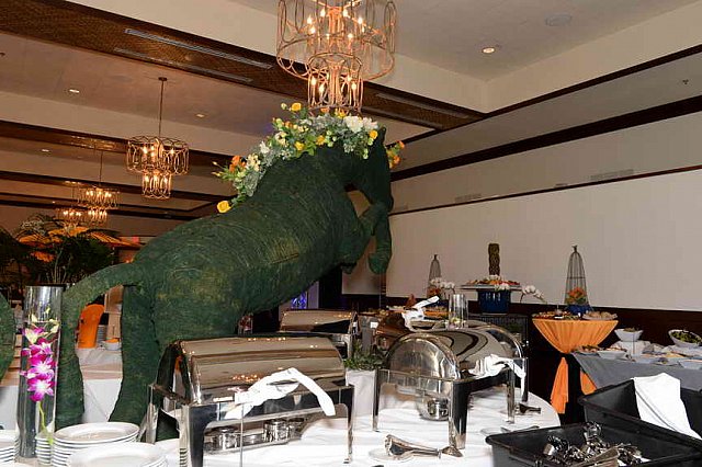 IPC-Polo-1-8-17-6273-DDeRosaPhoto