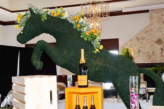 IPC-Polo-1-8-17-6279-DDeRosaPhoto