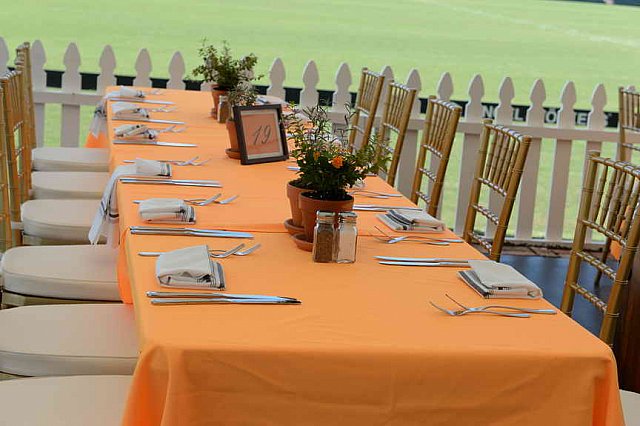 IPC-Polo-1-8-17-6298-DDeRosaPhoto