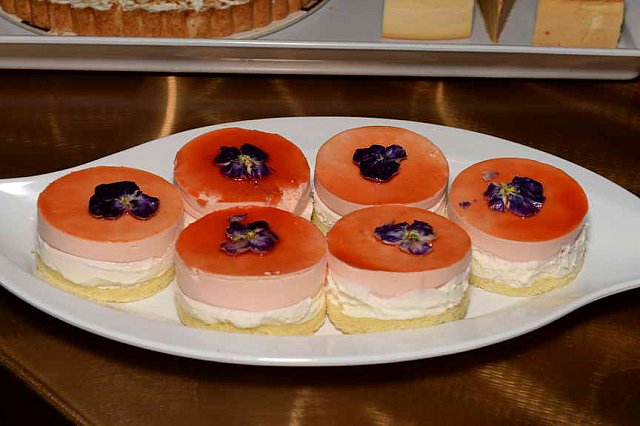 IPC-Polo-1-8-17-6307-DDeRosaPhoto