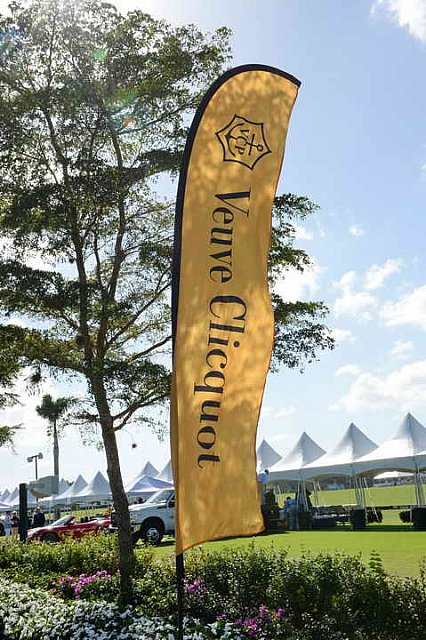 IPC-Polo-1-8-17-6373-DDeRosaPhoto