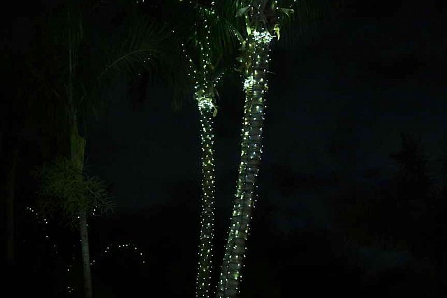 IPC-NYE-12-31-16-0972-DDeRosaPhoto