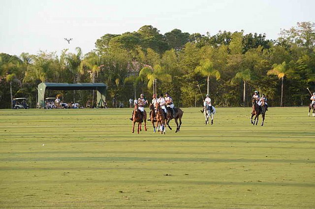 IPC-RoldanWhiteParty-3-12-17-DER 0566-DDeRosaPhoto