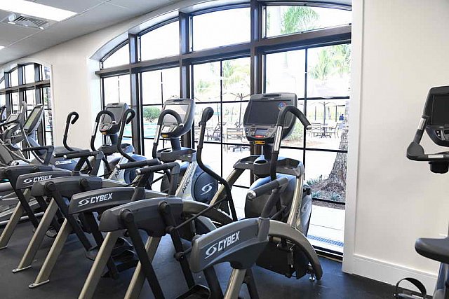 IPC-Wanderers-2-23-17-1607-DDeRosaPhoto